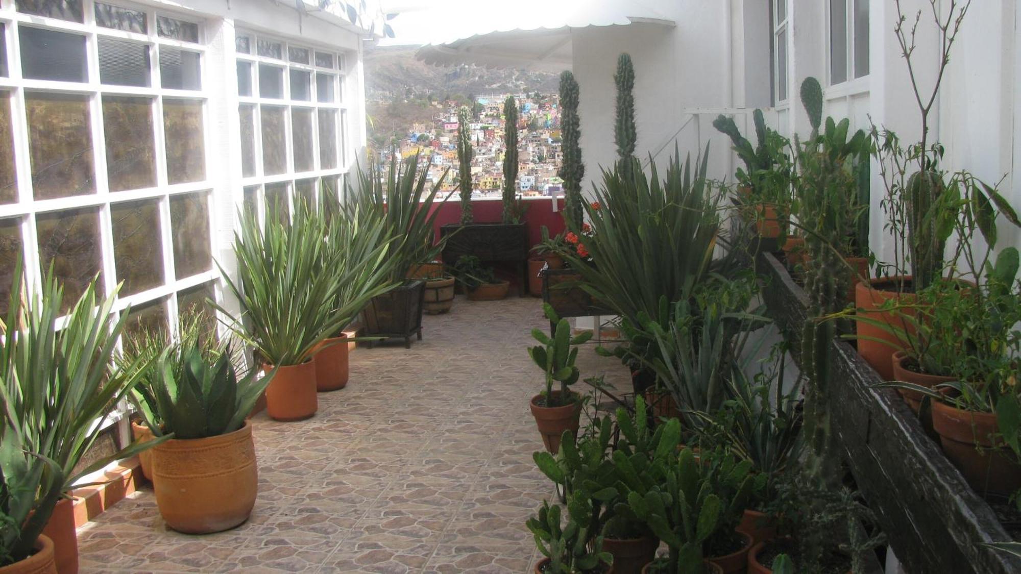 Casa Zuniga B&B Гуанахуато Экстерьер фото