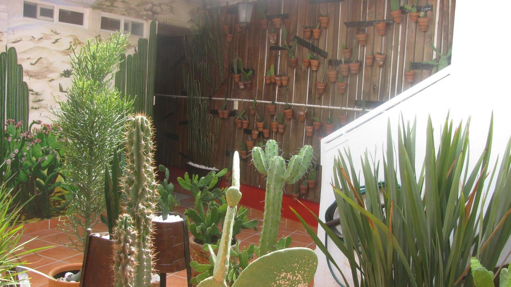 Casa Zuniga B&B Гуанахуато Экстерьер фото